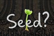 بذر(Seed) چیست؟