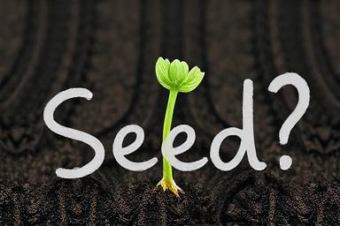 بذر (Seed) چیست؟