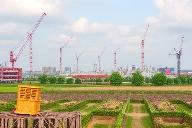 براونفیلد(Brownfield) چیست؟
