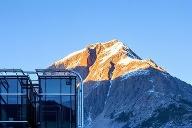 شیر کوهستان(Mountain Lion) چیست؟